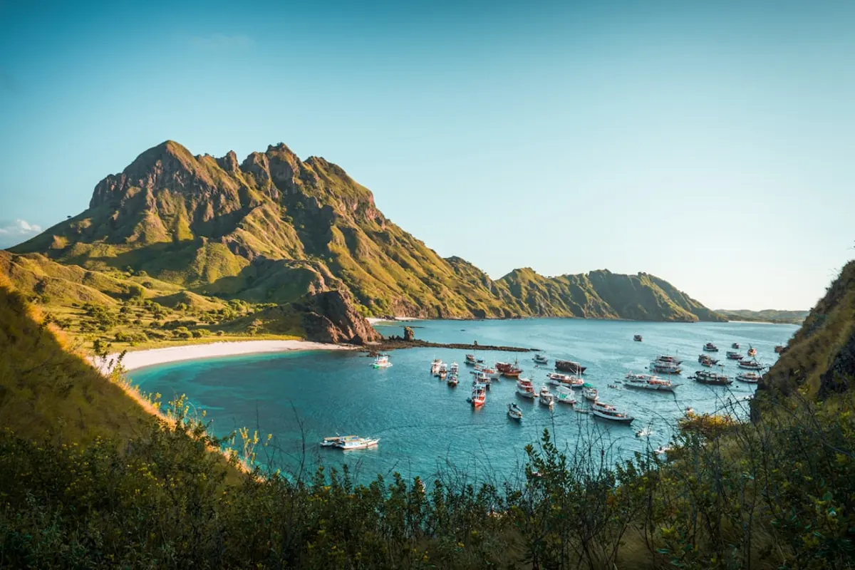 Best time to visit Komodo